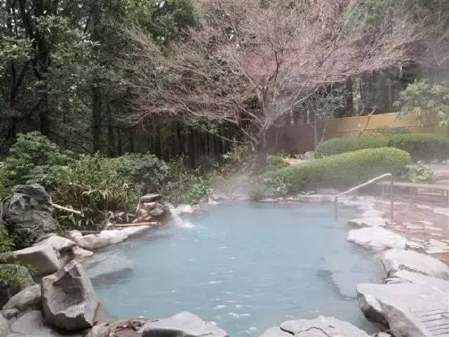 騰沖溫泉_騰沖櫻花谷溫泉_騰沖+溫泉