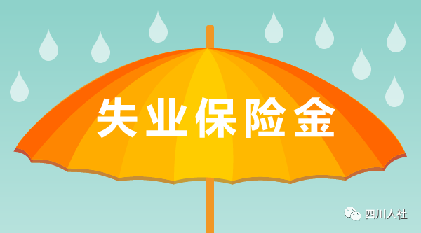 人力資源管理師二級補貼政策_人力管理資源專業(yè)學什么的_河北省人力一級補貼