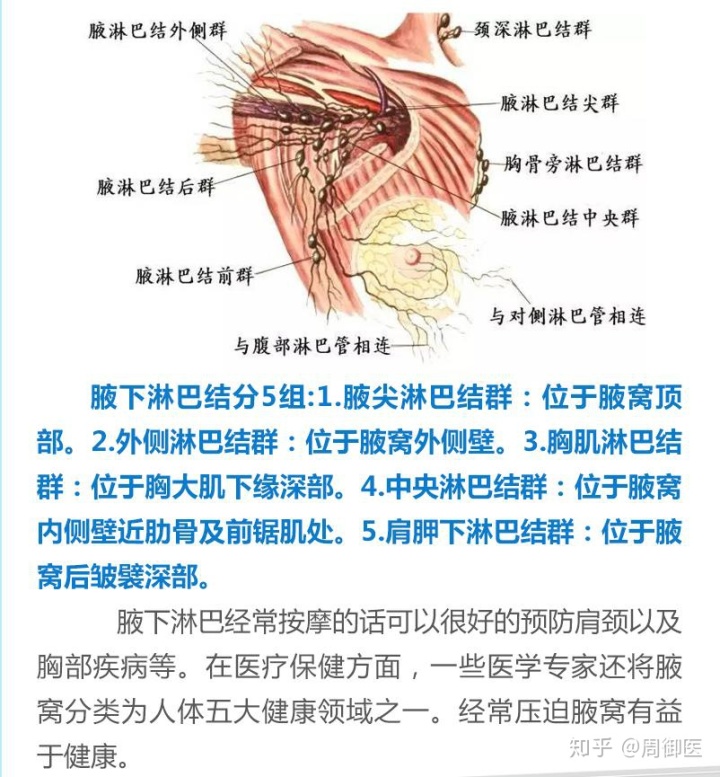 腹部溝酸脹是淋巴發炎嗎_腹股溝淋巴結觸診_腹股斜溝疝要不要緊