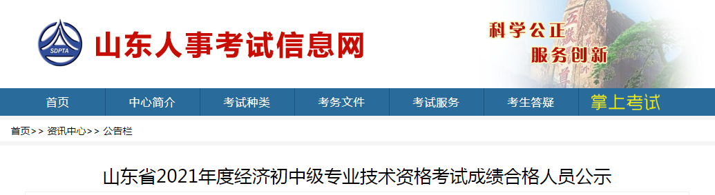 高級專業技術資格申報人基本情況及評審登記表_江蘇省衛生高級評審_高級經濟師評審 山東2022