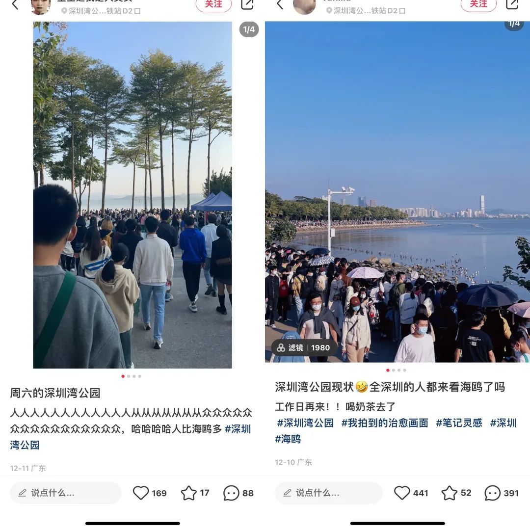 房產經濟人_周口房產經濟欄目_北京世紀星房產經濟有限公司