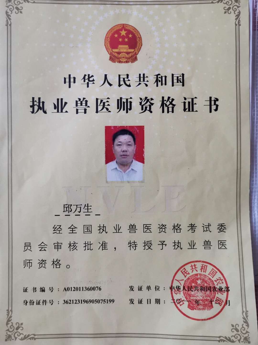 醫師執業考試報名條件_15醫師執業資格考試報名時間_執業獸醫師報名