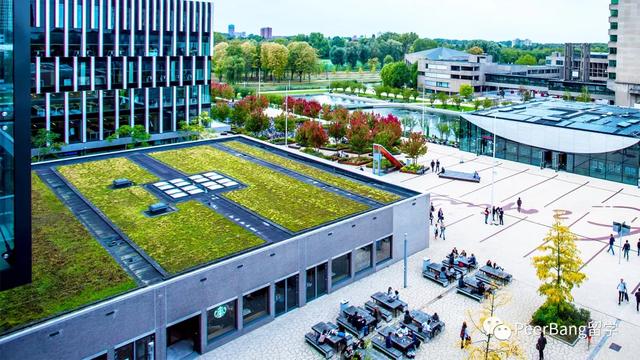 紐約城市大學約克學院_紐約大學商學院_紐約攝影學院教材下載