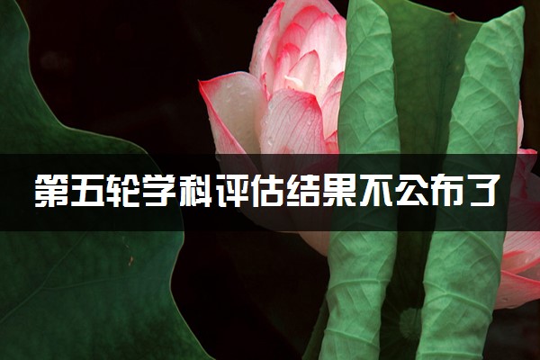 第三輪學(xué)科評估結(jié) 結(jié)果_學(xué)科評估 信息類學(xué)科_第四輪學(xué)科評估結(jié)果