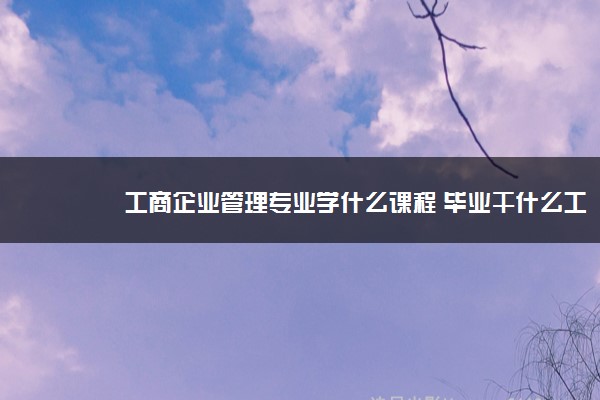 企業管理專業學什么_企業高管一般是學什么專業_企業管理層學什么專業