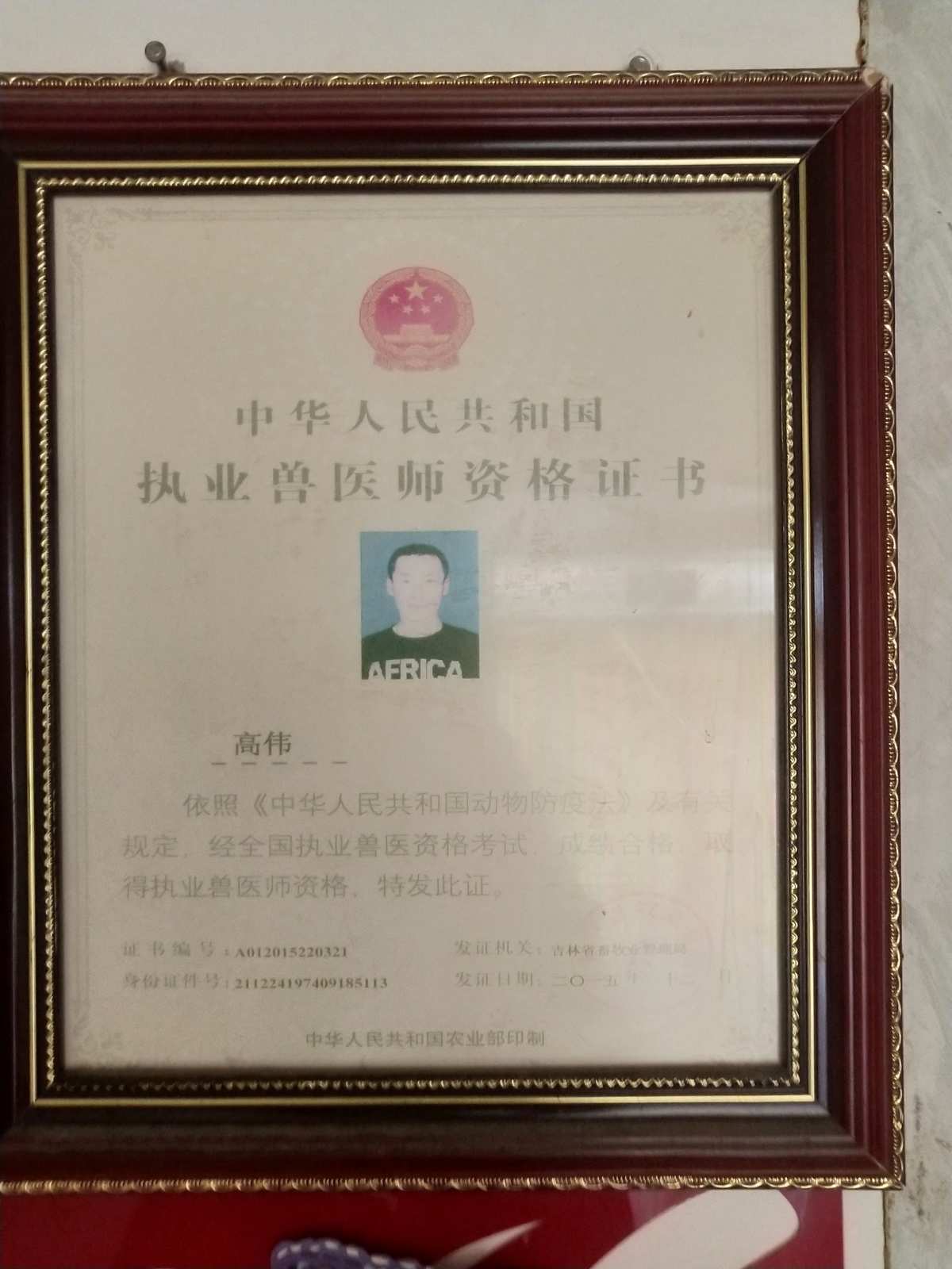 執業獸醫資格證考試09年真題_執業獸醫考試成績查詢_執業獸醫資格證考試