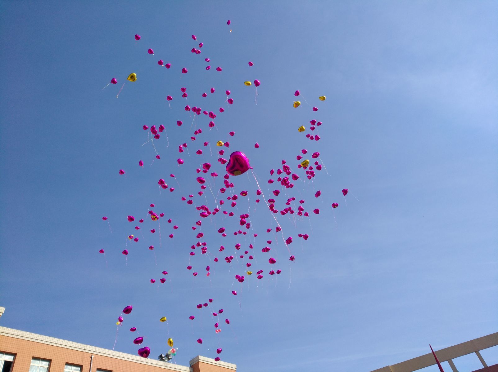 2014元宵節短信祝福ganxie語_祝福高考學子的祝福詞_高考8個字祝福語