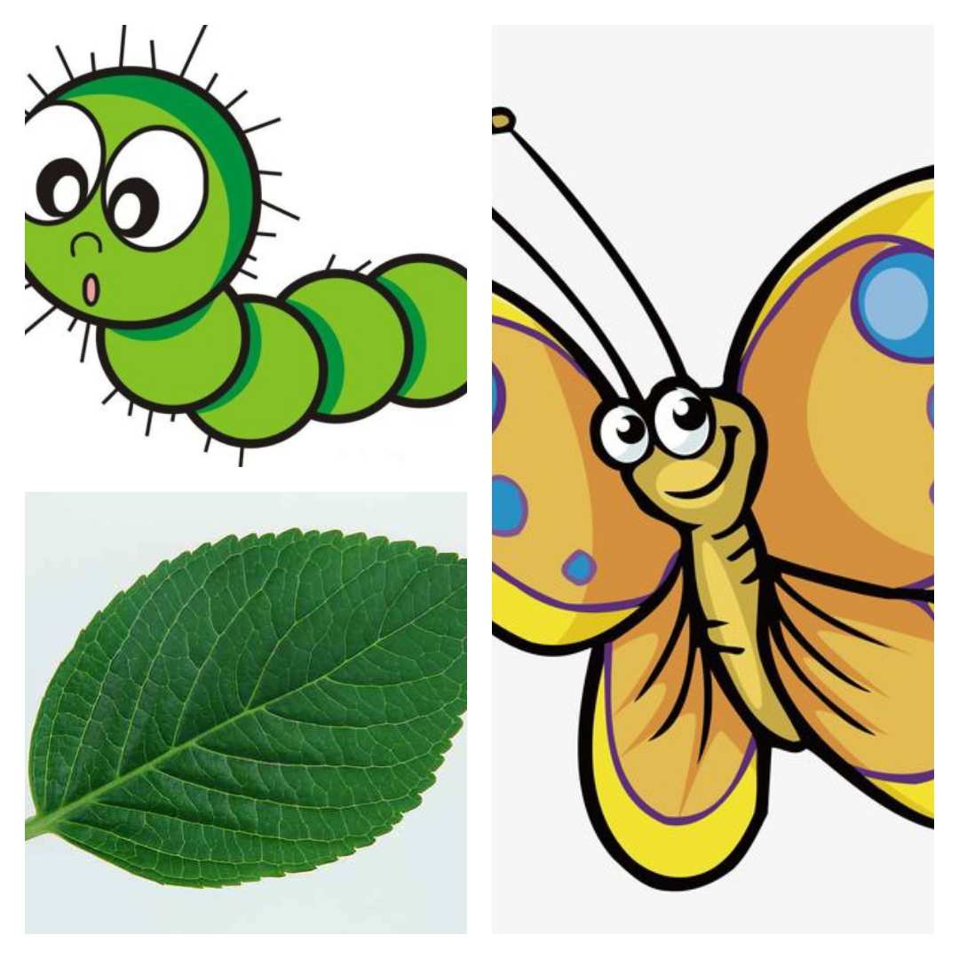 快樂的同桌拋繡球選同桌_同桌的你影評_同桌,同桌你真壞