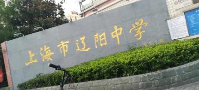 上海楊浦區復旦實驗高中排名(楊浦區38所初中實力榜PK)(13)