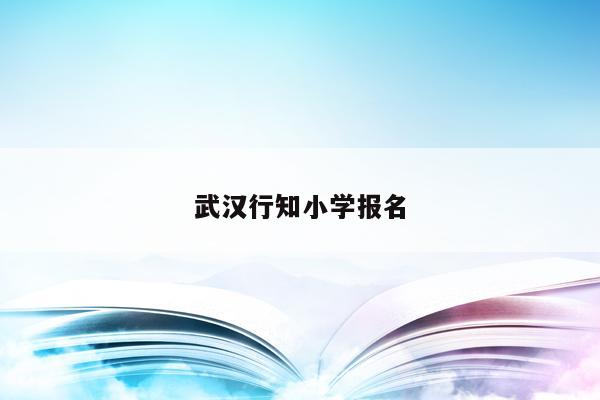 佛山第九小學是公辦嗎_城陽田村小學是公辦嗎_瑤海區少兒藝校是公辦學校和行知小學