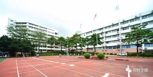 春蕾小學能直升百合外國語嗎_春蕾小學進百合外國語2023_百合外國語學校小學部如何招生