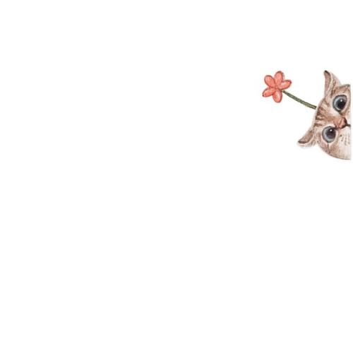 綿陽師范學院鳥瞰圖_綿陽師范學院怎么樣知乎_綿陽師范學院怎么樣