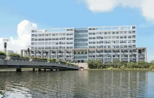 番禺區民辦小學排名_番禺區民辦小學排名_番禺區民辦小學排名