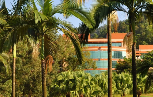 番禺區民辦小學排名_番禺區民辦小學排名_番禺區民辦小學排名