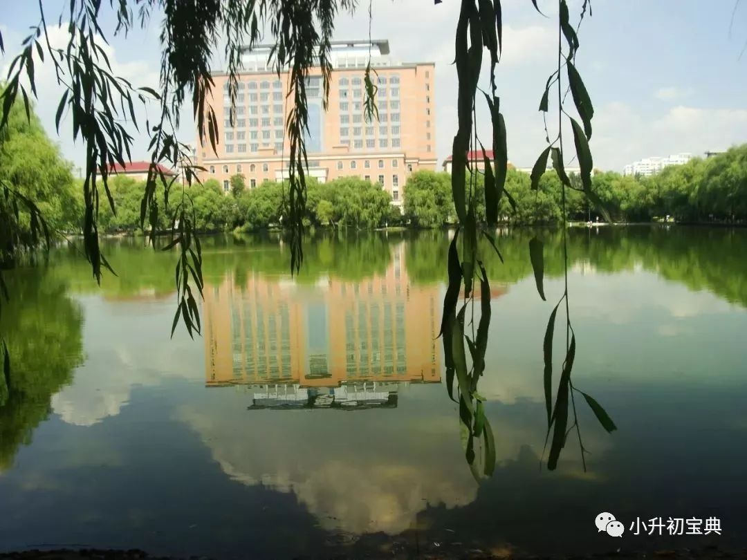 松江公辦小學(xué)梯隊_松江公辦小學(xué)最新排名_松江公辦小學(xué)排名