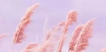 寶貝感受到它在愛你嗎病嬌小說_寶貝好好感受它 愛你_寶貝感言短語