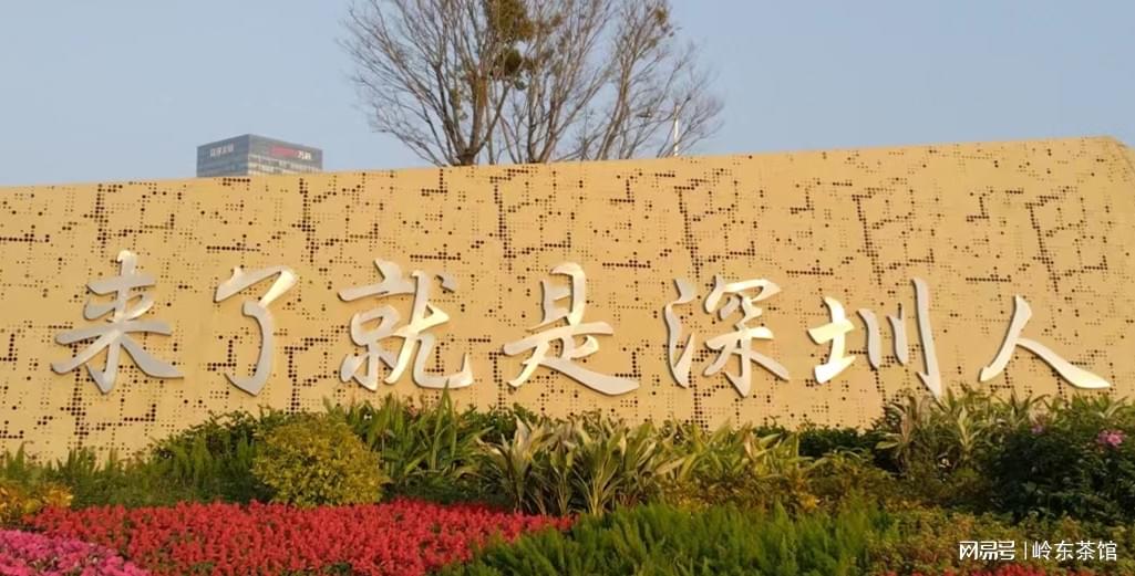 深圳有多少間公辦高中_深圳公立學校高中_深圳公辦普通高中