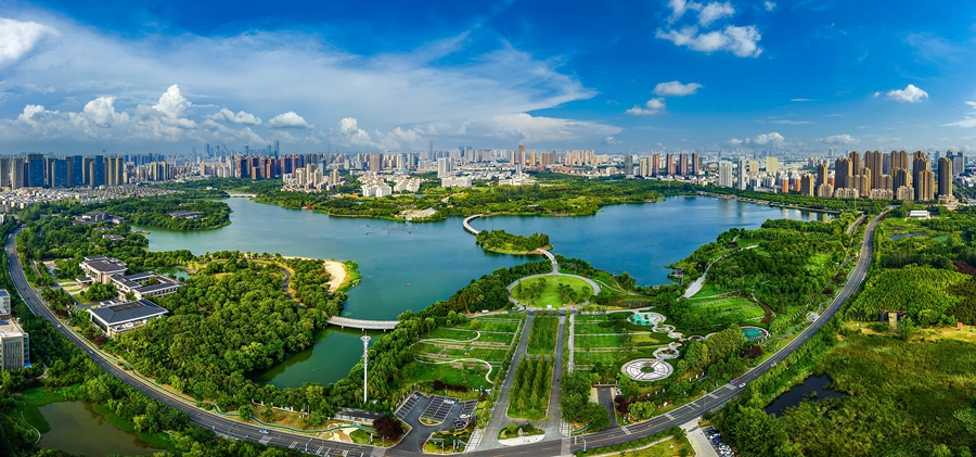 合肥各區小學_合肥市經開區小學排名_合肥各個區小學排名