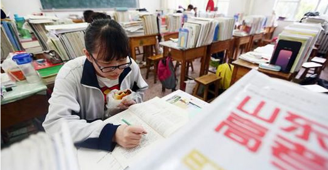 山東省高考填報(bào)志愿模擬_山東省高考志愿模擬_山東高考模擬填報(bào)志愿