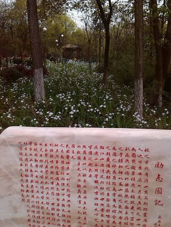 寧鄉(xiāng)一中重本率_寧鄉(xiāng)一中全國(guó)排名_寧鄉(xiāng)一中上線率