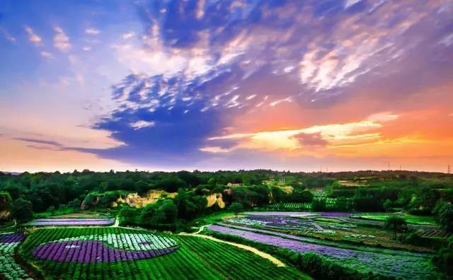 云附古渡口校區(qū)_云渡古鎮(zhèn)在哪里_云渡古城