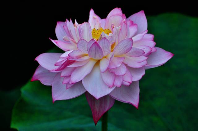 云渡古鎮(zhèn)在哪里_云渡古城_云附古渡口校區(qū)