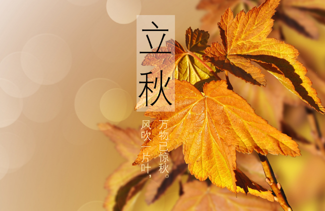 今天立秋是什么時間 2020年立秋是幾點鐘