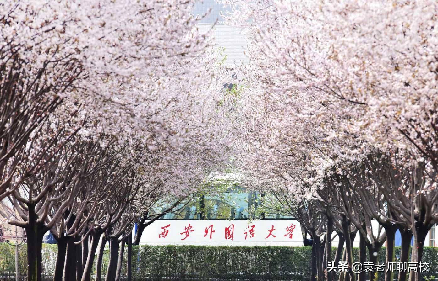 二本外國語大學_二本大學外國語學院_國內二本外國語大學都有哪些