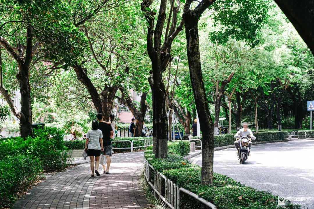 豪宅買賣中介_女大學生成中介銷冠:賣出上億豪宅_中介賣豪宅提成