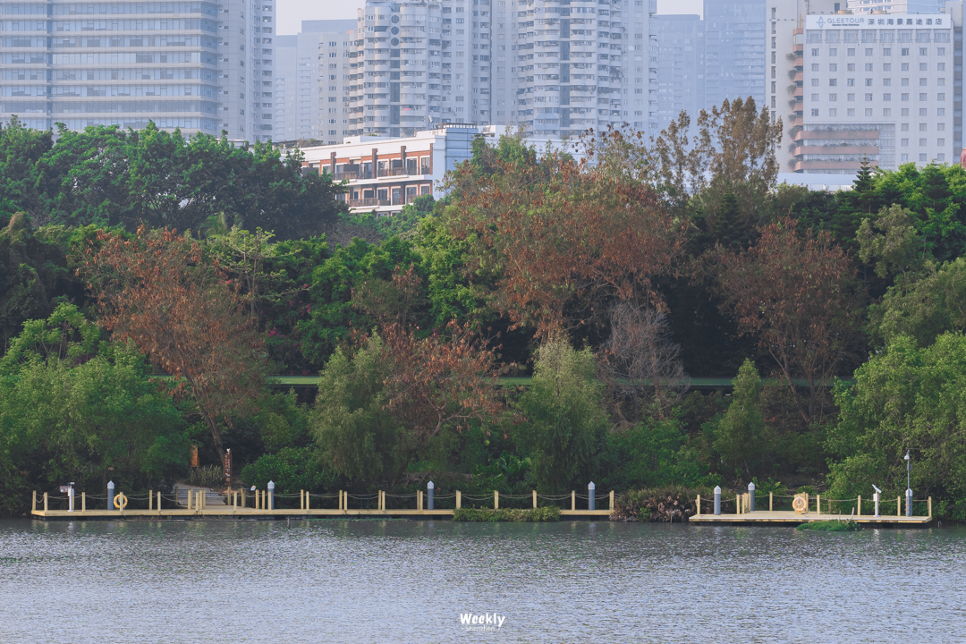 女大學生成中介銷冠:賣出上億豪宅_豪宅買賣中介_中介賣豪宅提成