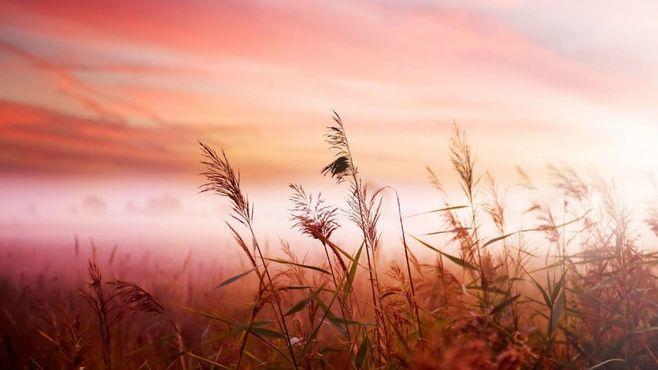 圓滑意思世故的成語_圓滑世故的意思_世故圓滑的意思