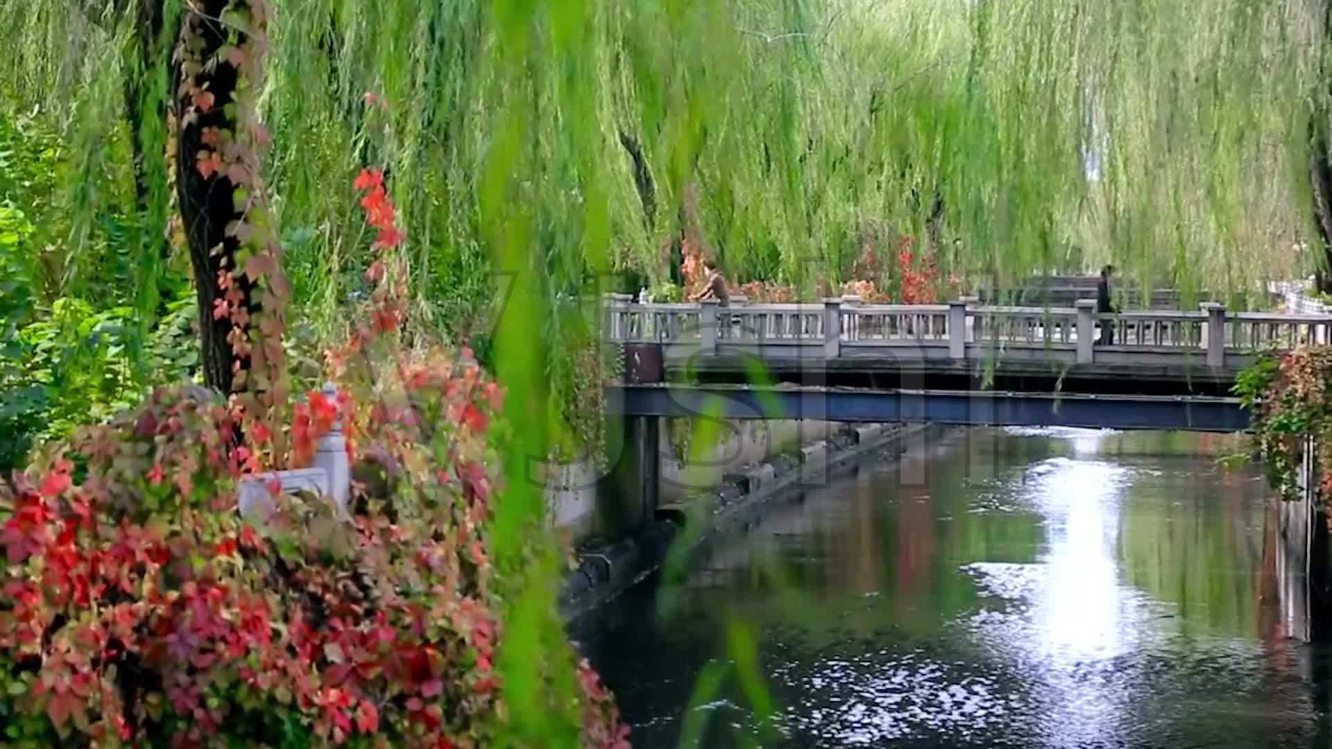 珠海理工多少分_2024年北京理工大學珠海分院錄取分數線(2024各省份錄取分數線及位次排名)_珠海理工大學分數線是多少