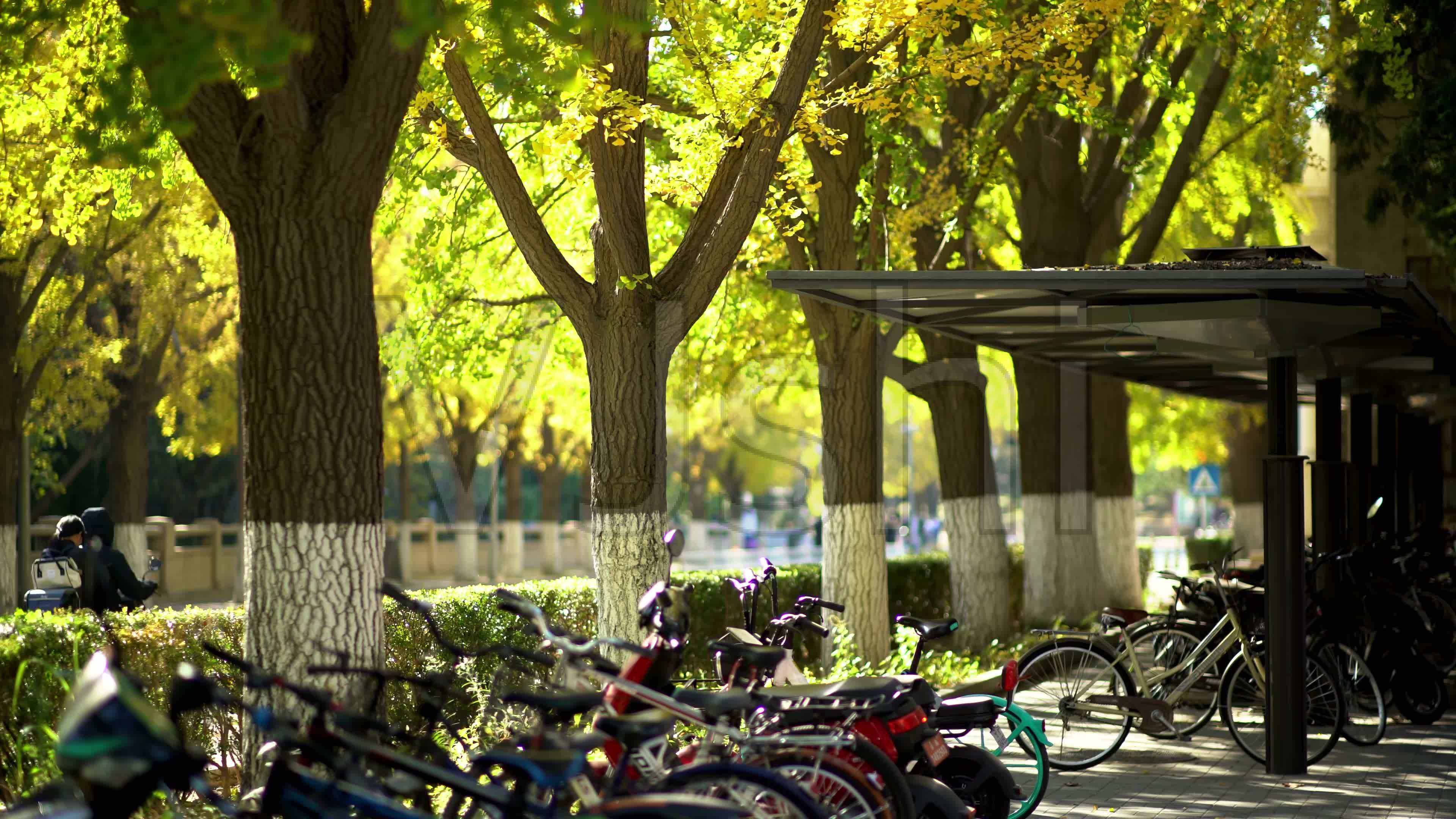 珠海理工大學分數線是多少_2024年北京理工大學珠海分院錄取分數線(2024各省份錄取分數線及位次排名)_珠海理工多少分