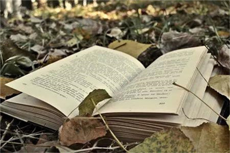 廣東自考專業科目一覽表？