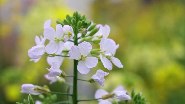 南昌的錄取分數_2024年南昌大學錄取錄取分數線(2024各省份錄取分數線及位次排名)_南昌入取分數線