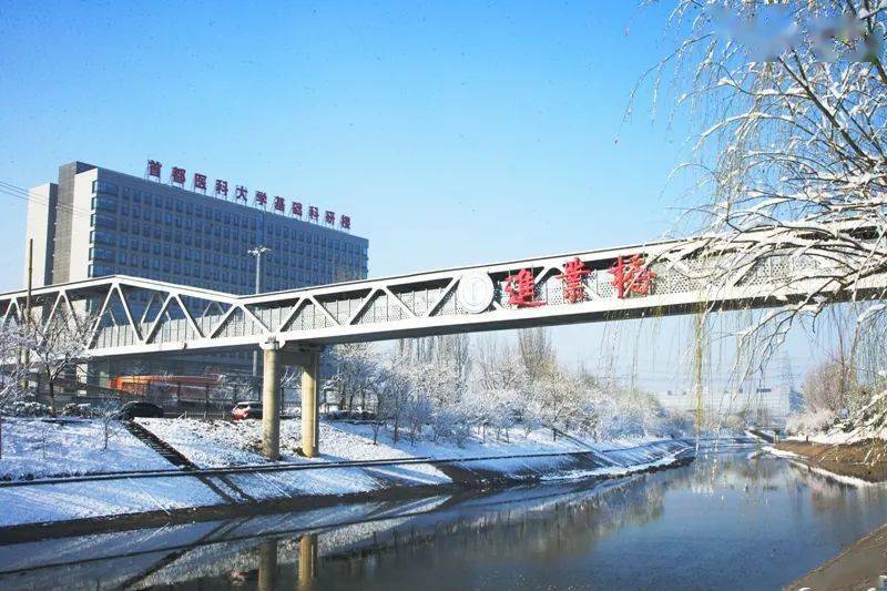 首都醫科大學醫學部分數線_首都醫科大學錄取分數線_首都醫科大學錄取分數線