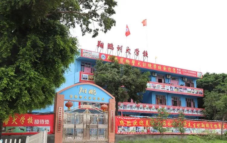 重慶銀利寵物美容學(xué)校_重慶寵物美容培訓(xùn)學(xué)校排名_重慶銀利寵物學(xué)校學(xué)費(fèi)