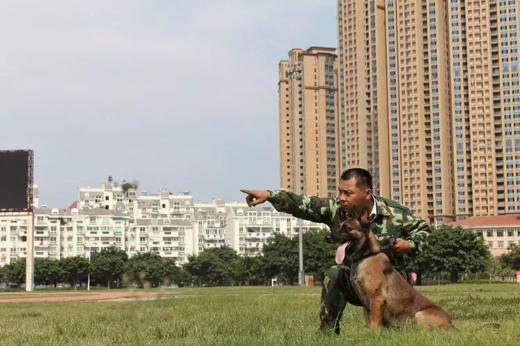 重慶銀利寵物美容學(xué)校_重慶寵物美容培訓(xùn)學(xué)校排名_重慶銀利寵物學(xué)校學(xué)費(fèi)