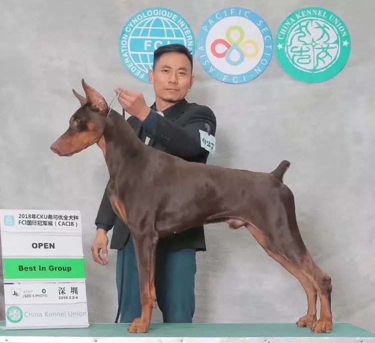 重慶寵物美容培訓(xùn)學(xué)校排名_重慶銀利寵物學(xué)校學(xué)費(fèi)_重慶銀利寵物美容學(xué)校