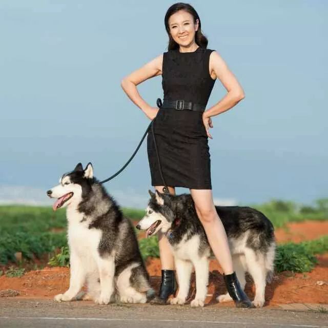 重慶銀利寵物學(xué)校學(xué)費(fèi)_重慶銀利寵物美容學(xué)校_重慶寵物美容培訓(xùn)學(xué)校排名