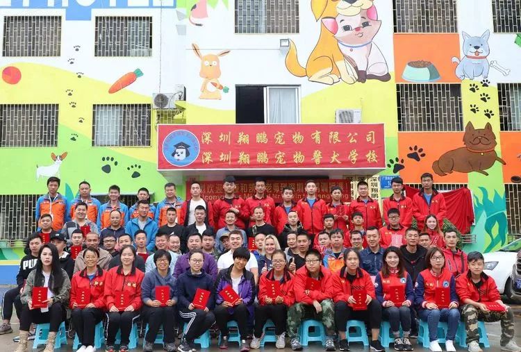 重慶銀利寵物學(xué)校學(xué)費(fèi)_重慶寵物美容培訓(xùn)學(xué)校排名_重慶銀利寵物美容學(xué)校