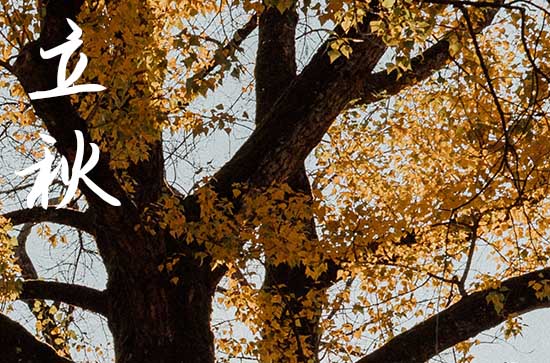 今年立秋是什么時(shí)間幾點(diǎn)幾分2024 立秋后還會(huì)熱死牛嗎