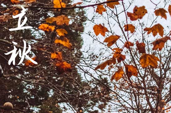 今天什么時候立秋幾點立秋2024