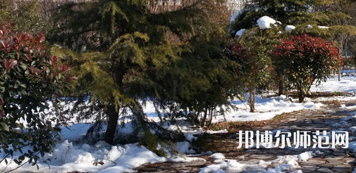 河南科技職業(yè)技術(shù)學(xué)院代碼_河南科技職業(yè)大學(xué)代碼_河南科技代號