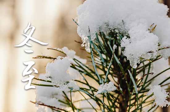 2024年冬至農(nóng)歷時(shí)間 2024年冬至弄買貓好不好