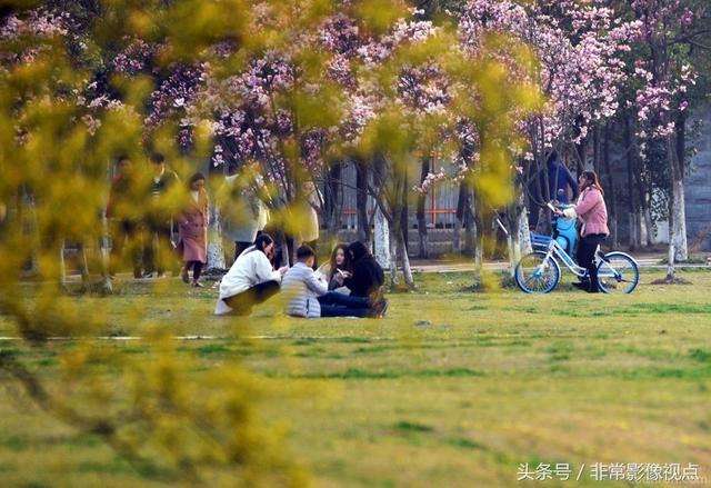 皖西學(xué)院是幾本院校?在安徽排名怎么樣?最好的專業(yè)是什么?