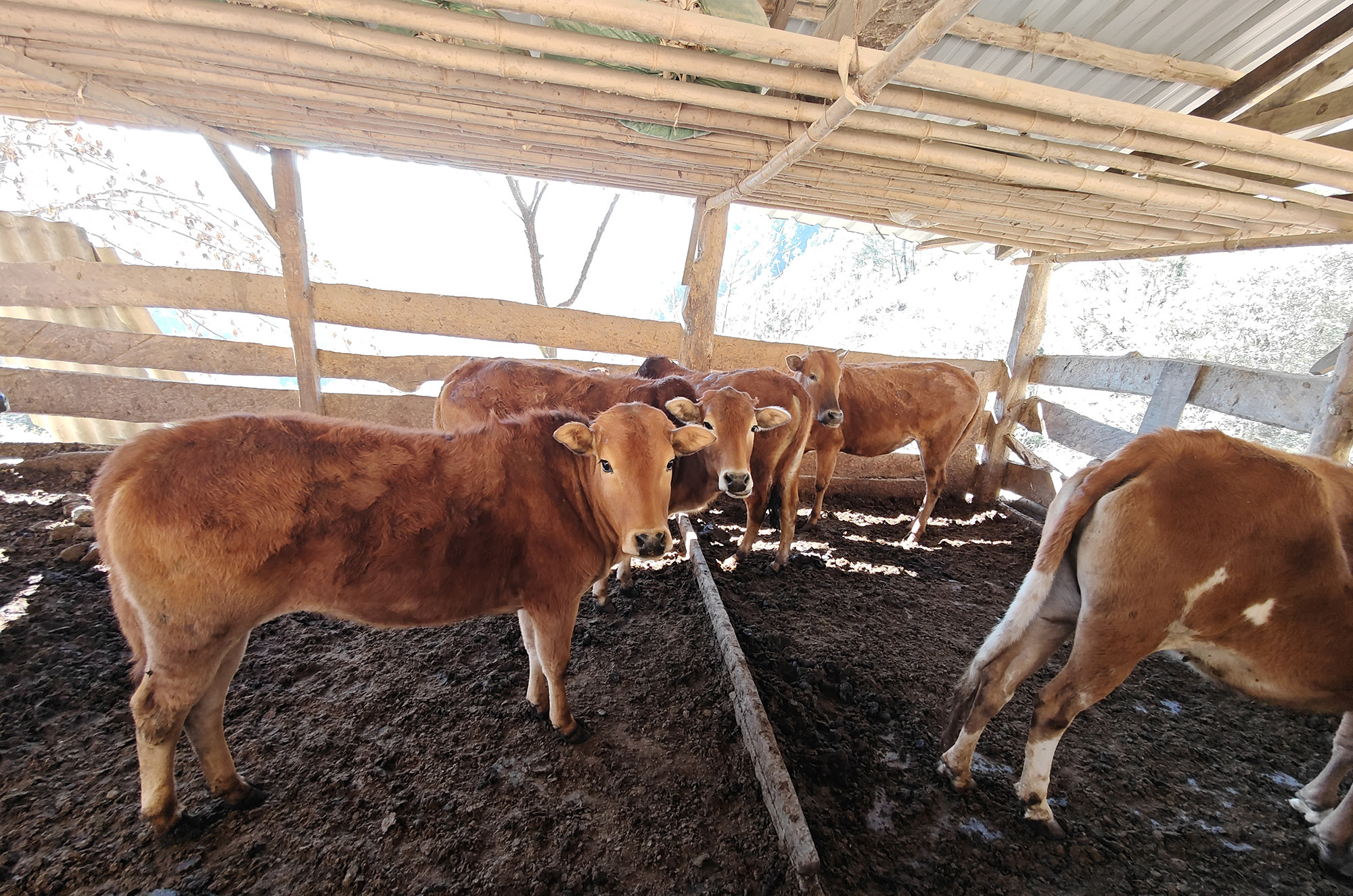 幸福列車4人小品_追夢(mèng)人幸福超市_幸福的人