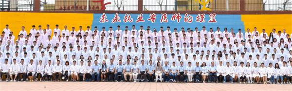 如何成為一名寵物美容師_寵物美容師入門條件_成都寵物美容培訓學校